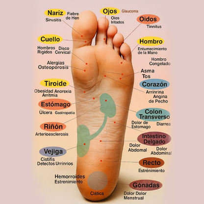 Sandalias de Acupresión para Descanso y Bienestar Feetzeen™